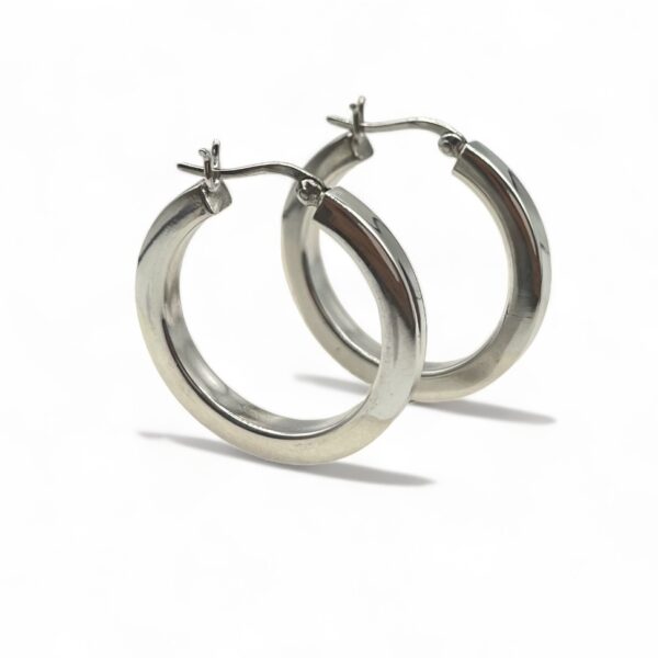 Jamie Chunky Hoop Earrings