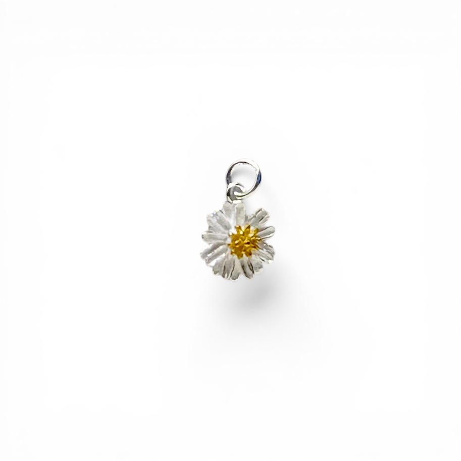 Daisy Charms
